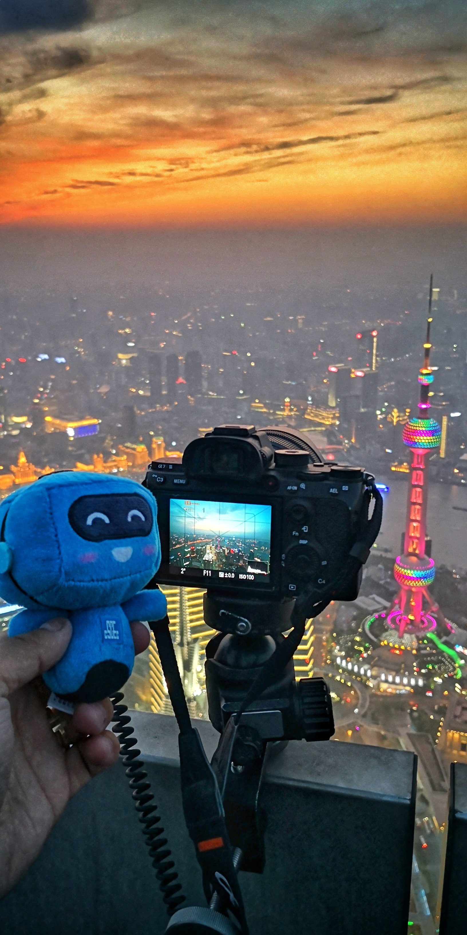 《带上蓝宝去远行8》—图片说明：蓝宝在上海环球金融中心—编辑：夏天龙—电话：18702122565.jpg